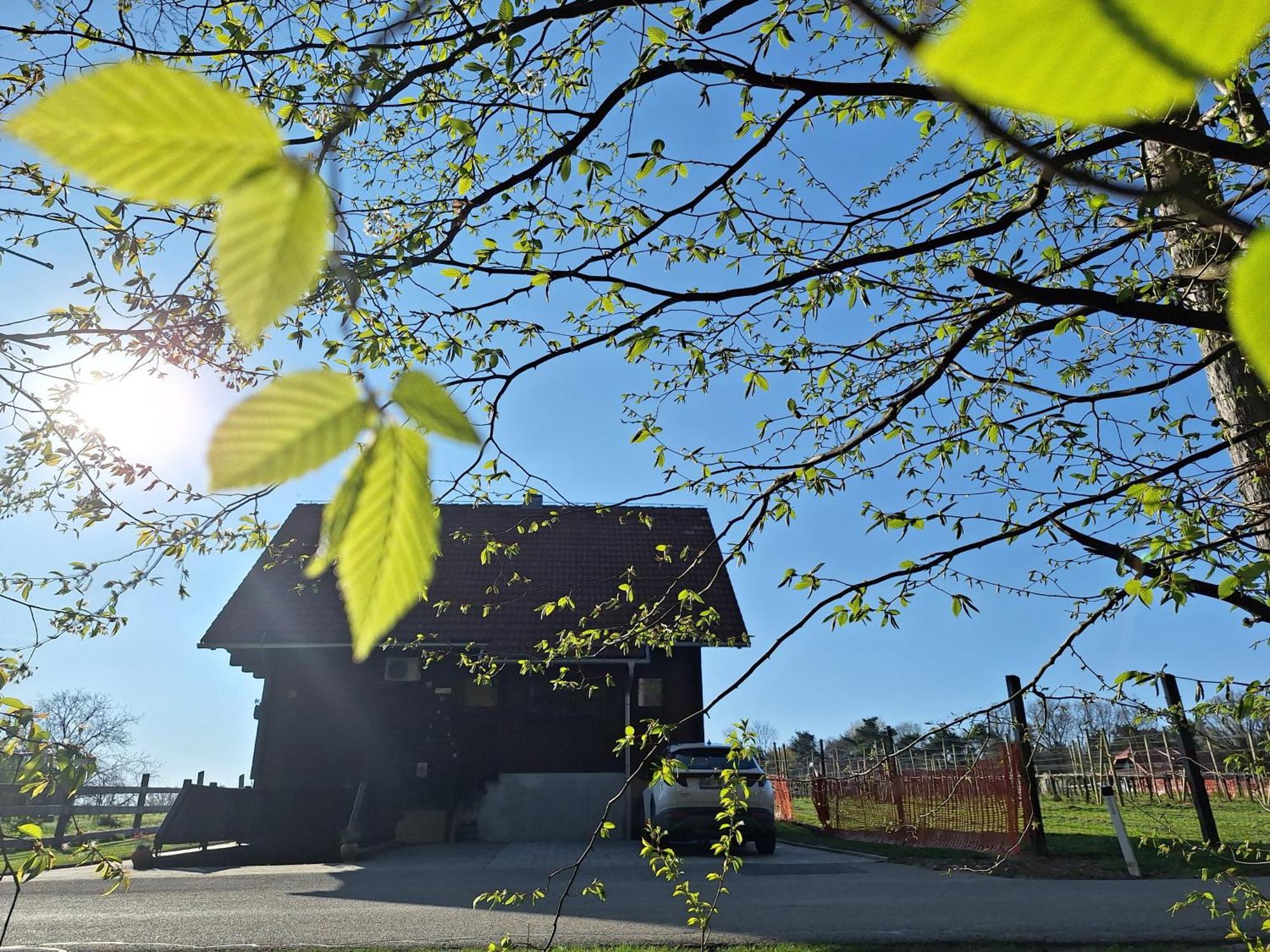 Logarska Koca Villa Fokovci Exterior photo